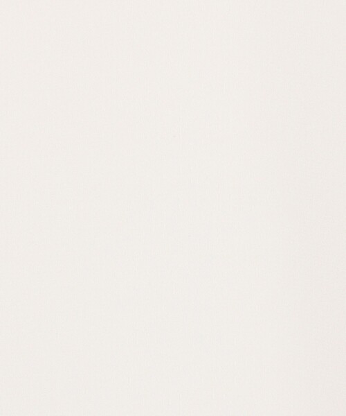 NOLLEY’S(ノーリーズ)の「オトナサテン半袖Tブラウス(シャツ/ブラウス・レディース・ホワイト/ネイビー/ベージュ/ブラック・36/38/40)」の20枚目の写真