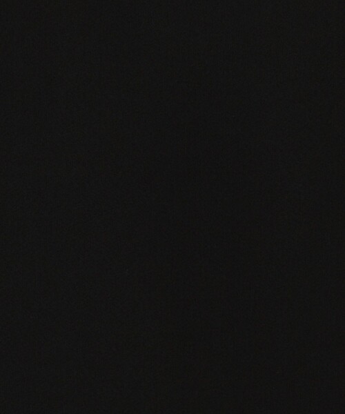 NOLLEY’S(ノーリーズ)の「オトナサテン半袖Tブラウス(シャツ/ブラウス・レディース・ホワイト/ネイビー/ベージュ/ブラック・36/38/40)」の22枚目の写真