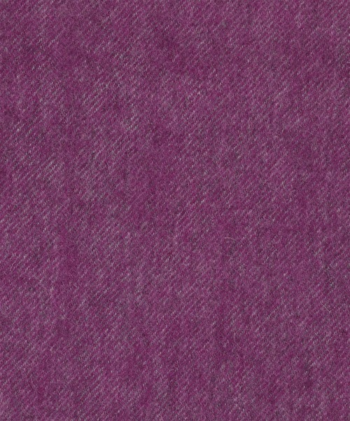 Paul Smith（ポールスミス）の「“Cropped Logo” カシミヤブレンド マフラー【250430】（マフラー・メンズ・パープル/ブルー/ベージュ・FREE）」の5枚目の写真