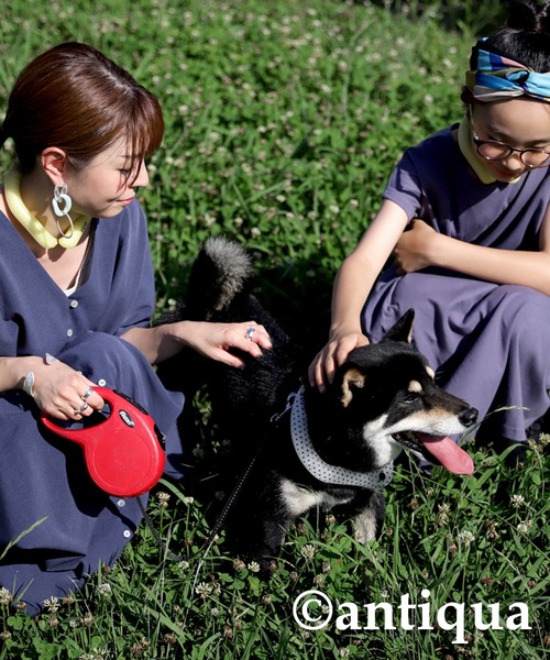 antiqua（アンティカ）の「28℃クールリング（生活家電・レディース・ブラック/イエロー/オレンジ/ブルー/グリーン・M/L）」の8枚目の写真