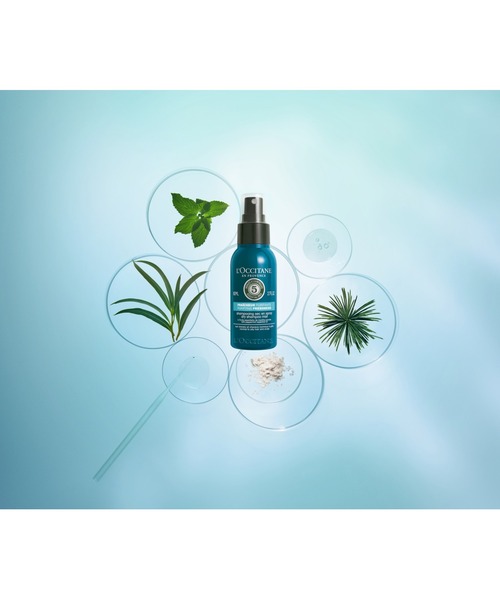 L'OCCITANE（ロクシタン）の「ファイブハーブス ピュアフレッシュネス ドライシャンプー ミスト 80mL（シャンプー・レディース・その他・FREE）」の6枚目の写真