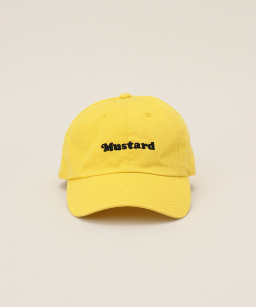 U by SPICK&SPAN（ユーバイスピックアンドスパン）の「【AMERICAN NEEDLE/アメリカン ニードル】 FOODIE SLOUCH CAP（キャップ・レディース・ライトグリーン・FREE）」の2枚目の写真