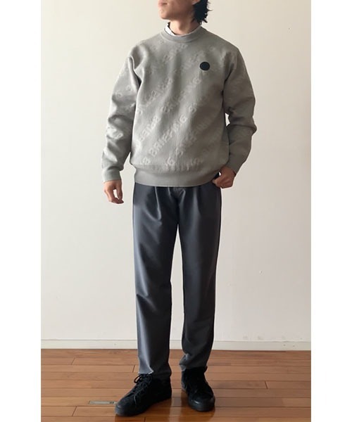 セール】【BRIEFING GOLF／ブリーフィングゴルフ】CE MS WR BIAS LOGO