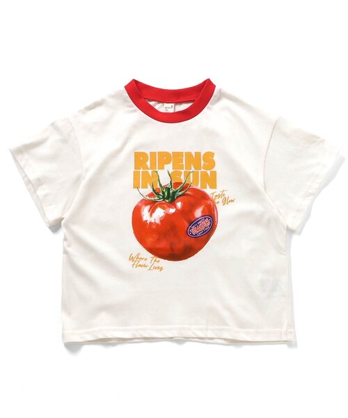 apres les cours(アプレレクール)の「5柄アソート半袖Tシャツ(Tシャツ/カットソー・キッズ・ブルー/レッド/チャコール/アイボリー/その他2・140/130/120/110/100/90/80)」の22枚目の写真