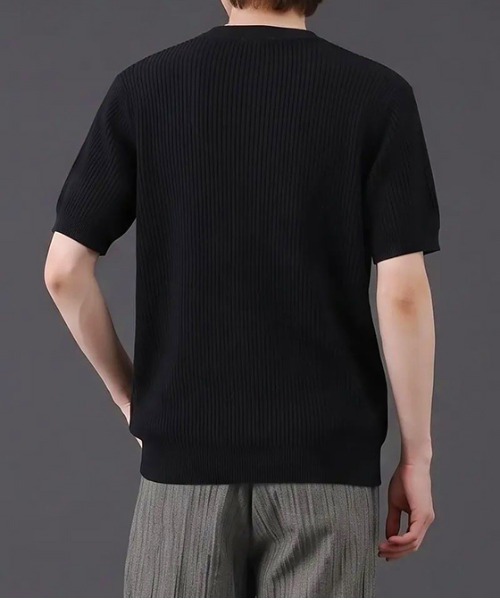 revertical(リバーティカル)の「ヘンリーネック 半袖リブニットTシャツ(ポロシャツ・メンズ・ブラック/グレー/ホワイト・MEDIUM/LARGE)」の5枚目の写真