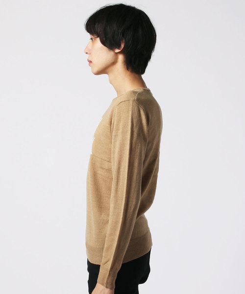 SHISKY（シスキー）の「ロゴ ニット ロンT（Tシャツ/カットソー・メンズ・A/B/C/D/E/F/G/H/I/J/K/L・LL/M/L）」の15枚目の写真