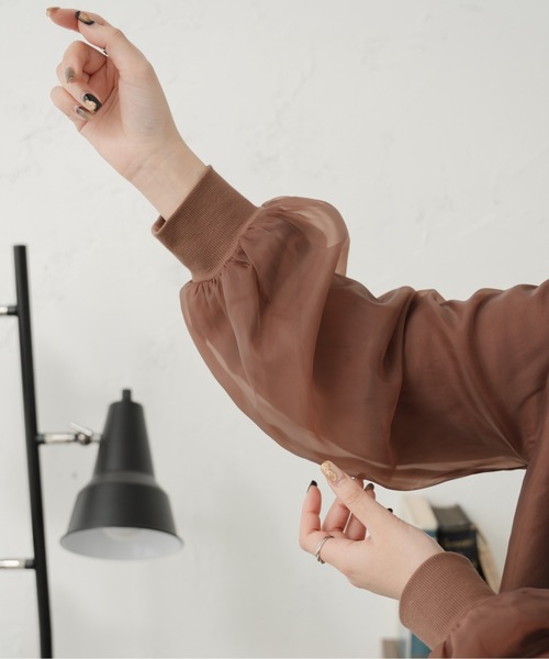 Ambre Ciel（アンブルシエル）の「シアーシフォンロンＴ／【WEB/EC限定商品】（Tシャツ/カットソー・レディース・オフホワイト/ダークブラウン・FREE）」の12枚目の写真