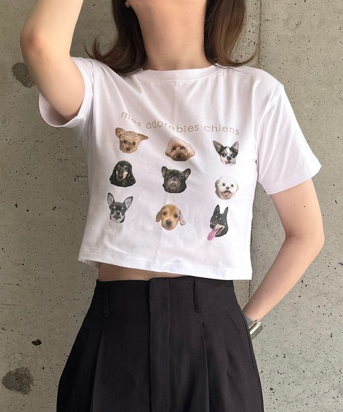 cuorequal(クオレコール)の「犬いっぱい半袖ショート丈Tシャツ(Tシャツ/カットソー・レディース・ベージュ/ネイビー・FREE)」の2枚目の写真