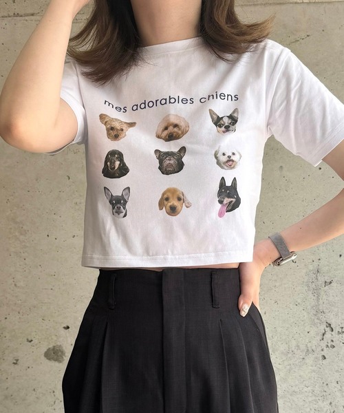 cuorequal(クオレコール)の「犬いっぱい半袖ショート丈Tシャツ(Tシャツ/カットソー・レディース・ベージュ/ネイビー・FREE)」の22枚目の写真