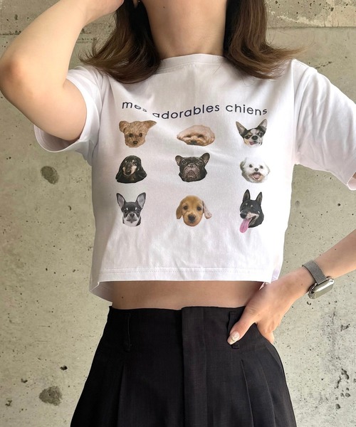 杏仁②夏　Fオフホワイト白*犬dog半袖Tシャツ　長め丈　ゆったり　大きい Amazon.co.jp: Tシャツ レディース 半袖 柴犬 いぬ 犬柄