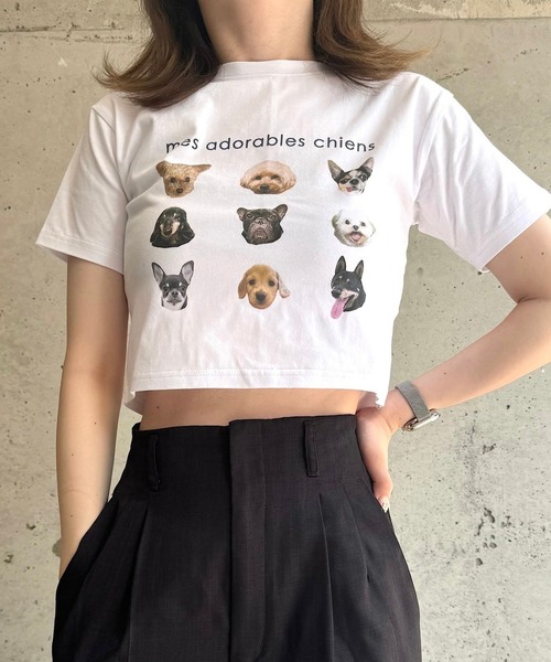 cuorequal(クオレコール)の「犬いっぱい半袖ショート丈Tシャツ(Tシャツ/カットソー・レディース・ベージュ/ネイビー・FREE)」の16枚目の写真