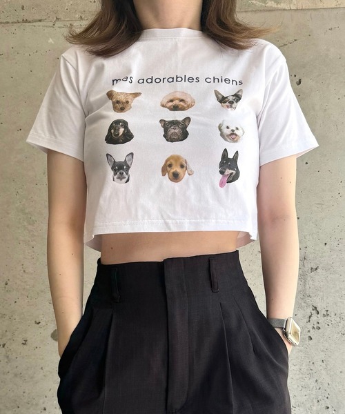 cuorequal(クオレコール)の「犬いっぱい半袖ショート丈Tシャツ(Tシャツ/カットソー・レディース・ベージュ/ネイビー・FREE)」の17枚目の写真
