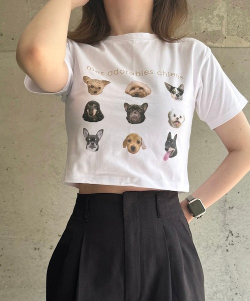 cuorequal(クオレコール)の「犬いっぱい半袖ショート丈Tシャツ(Tシャツ/カットソー・レディース・ベージュ/ネイビー・FREE)」の11枚目の写真