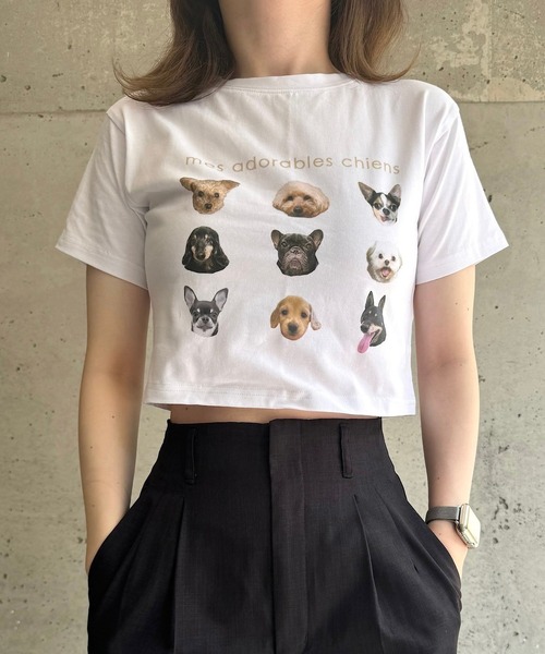 セール】犬いっぱい半袖ショート丈Tシャツ（Tシャツ/カットソー