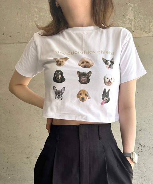 cuorequal(クオレコール)の「犬いっぱい半袖ショート丈Tシャツ(Tシャツ/カットソー・レディース・ベージュ/ネイビー・FREE)」の3枚目の写真