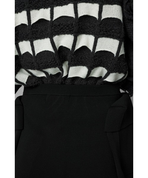 HeRIN.CYE（ヘリンドットサイ）の「Zip knit skirt　　ジップニットスカート（スカート・レディース・ブラック/レッド・FREE）」の5枚目の写真