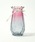 A Little HappinessiAgnslXj́uLovely Glass Flower Vase 20it[x[XjvbE