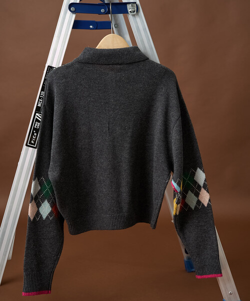 FREAK'S STORE(フリークスストア)の「配色 ミニアーガイル ポロニット/ポロ襟/襟付きニット(ニット/セーター・レディース・ワイン/チャコール/ネイビー・フリ-)」の13枚目の写真