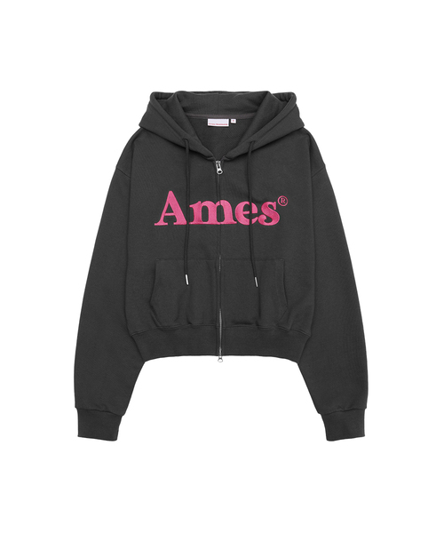 Basic Logo Hoodie Zip Up — худи с логотипом, на молнии, цвет charcoal