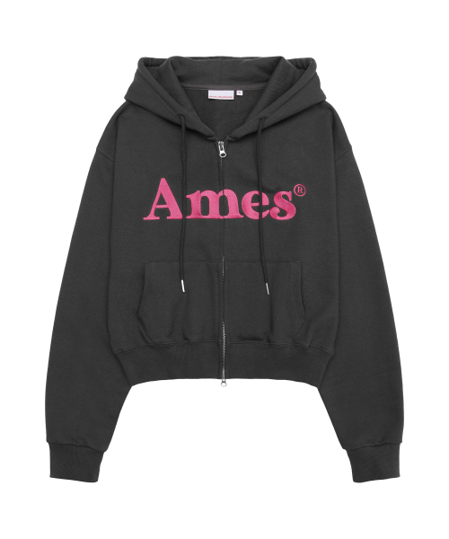 AMESWORLDWIDE（アメスワールドワイド）の「BASIC LOGO HOODIE ZIP UP CHARCOAL（パーカー・メンズ・その他・SMALL/MEDIUM/LARGE）」の2枚目の写真