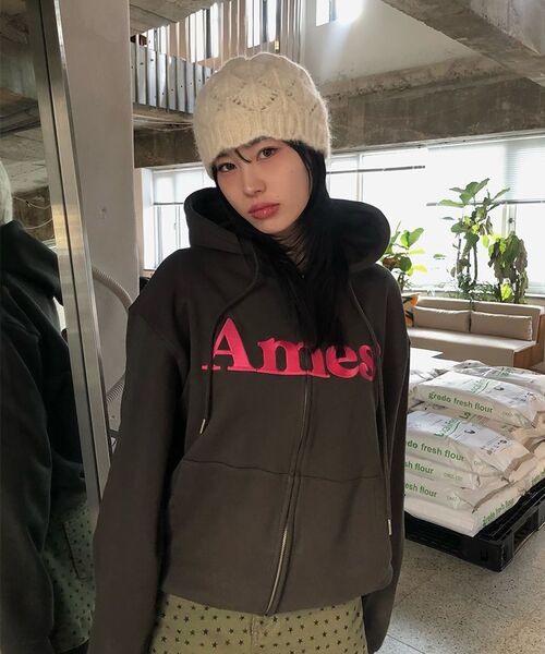 AMESWORLDWIDE（アメスワールドワイド）の「BASIC LOGO HOODIE ZIP UP CHARCOAL（パーカー・メンズ・その他・SMALL/MEDIUM/LARGE）」の18枚目の写真