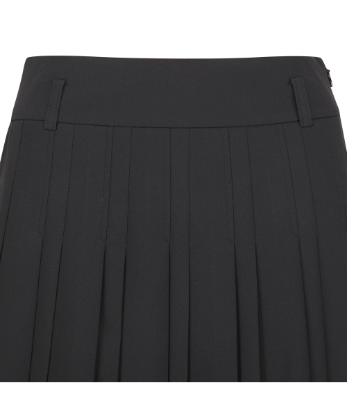 ANEW GOLF（アニューゴルフ）の「WOMEN SM ALL OVER PLEATED SKIRT_BK（スカート・レディース・その他・XX-SMALL/X-SMALL/SMALL/MEDIUM）」の5枚目の写真