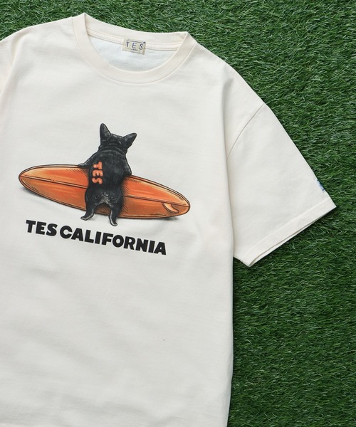 TES 4COLOR BUHI SURFER — футболка