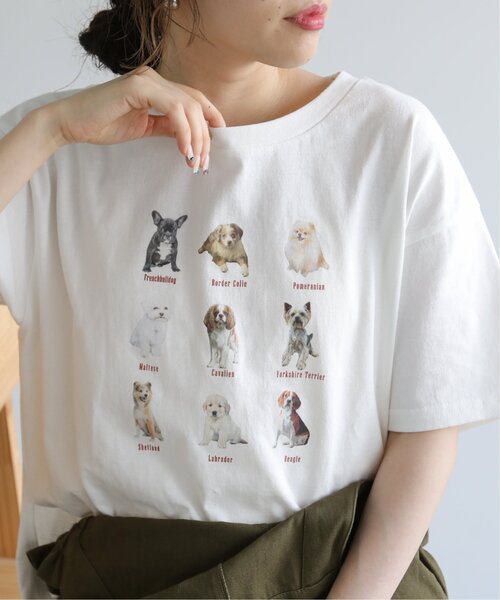 RAY CASSIN（レイカズン）の「dogPBプリントTシャツ（Tシャツ/カットソー・レディース・オフホワイト/スミクロ・FREE）」の3枚目の写真