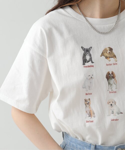 RAY CASSIN（レイカズン）の「dogPBプリントTシャツ（Tシャツ/カットソー・レディース・オフホワイト/スミクロ・FREE）」の21枚目の写真