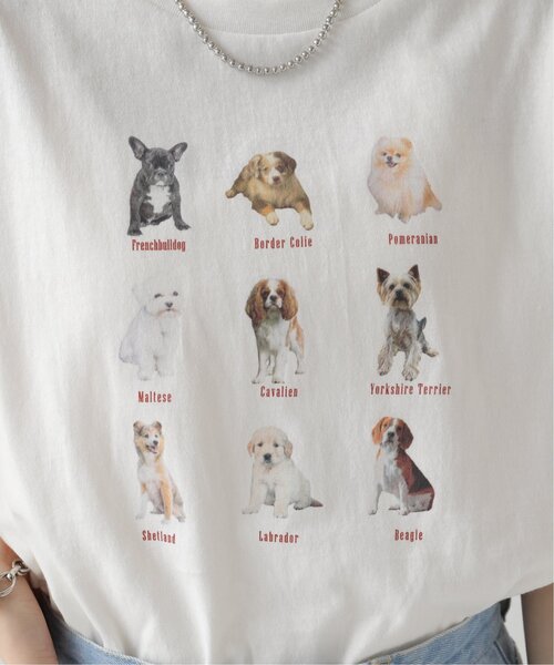 RAY CASSIN（レイカズン）の「dogPBプリントTシャツ（Tシャツ/カットソー・レディース・オフホワイト/スミクロ・FREE）」の10枚目の写真