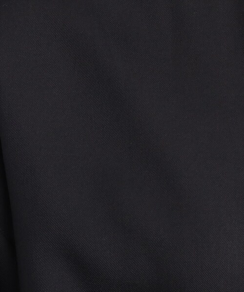 DRESKIP（ドレスキップ）の「◆【優しい風合いの上品さ】スタンドプチフリル ブラウス（シャツ/ブラウス・レディース・ライトグリーン/オフホワイト/ベージュ/ブラック・00）」の21枚目の写真