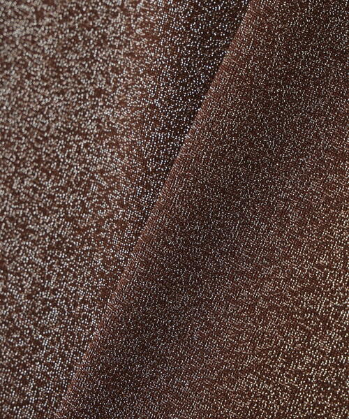 NATURAL BEAUTY BASIC(ナチュラルビューティーベーシック)の「◇ラメボートネックカットソー(Tシャツ/カットソー・レディース・ピンク/グレー/ダークブラウン・FREE)」の21枚目の写真