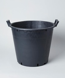 TODAY'S SPECIAL(gDfCYXyV)̃iZ[|bg 45cm(t[x[X)