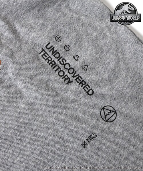 F.O.KIDS（エフオーキッズ）の「【ジュラシックワールド】長袖Tシャツ（オトナ）（Tシャツ/カットソー・キッズ・ブラック/レッド/グレー・LARGE/MEDIUM）」の15枚目の写真