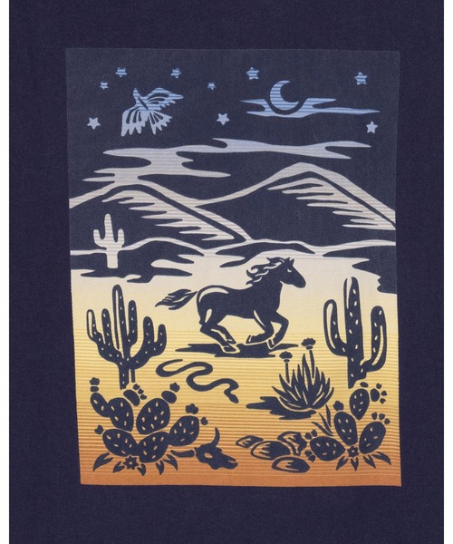 PENDLETON(ペンドルトン)の「バックプリント・LS ティ(Tシャツ/カットソー・メンズ・ライトグレー/グレー系その他/ブルー系その他2・X-LARGE/SMALL/LARGE/MEDIUM)」の10枚目の写真