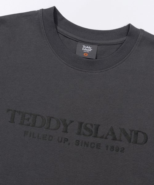 TEDDYISLAND(テディアイランド)の「エンボロゴ半袖チャコール(Tシャツ/カットソー・メンズ・その他・MEDIUM/LARGE)」の3枚目の写真