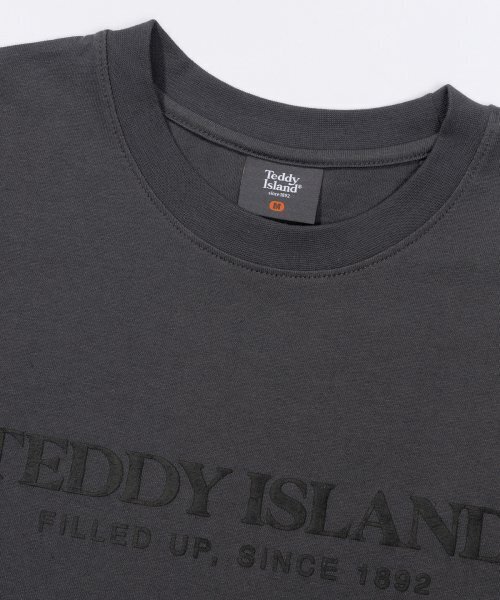 TEDDYISLAND(テディアイランド)の「エンボロゴ半袖チャコール(Tシャツ/カットソー・メンズ・その他・MEDIUM/LARGE)」の6枚目の写真