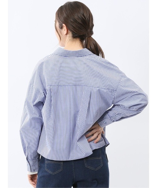 m.f.editorial(エムエフエディトリアル)の「【ショート丈 クロップド】m.f.エディトリアル レディース 綿混 ブロード 比翼 長袖 ブラウス(シャツ/ブラウス・レディース・サックスブルー/ブルー・MEDIUM/LARGE)」の6枚目の写真
