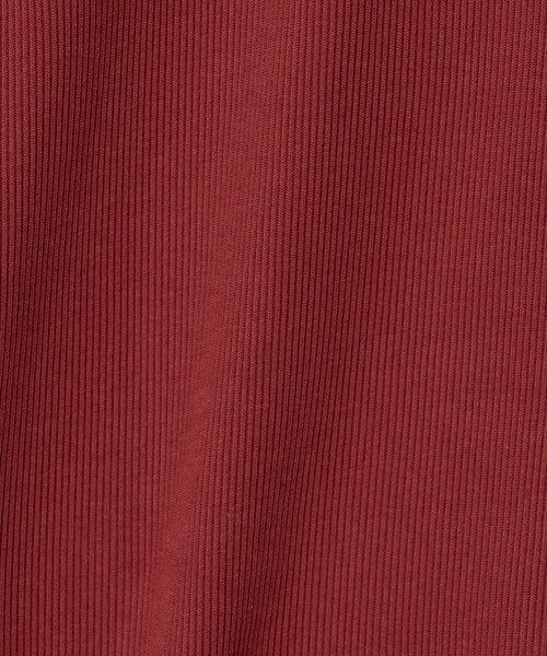6(ロク)の「【別注】<OVERNEATH for 6>COTTON RIB Tシャツ WINE(Tシャツ/カットソー・レディース・ワイン・M)」の5枚目の写真