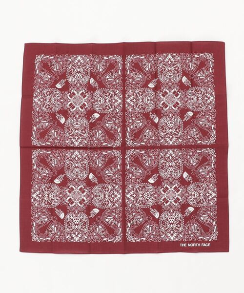 THE NORTH FACE（ザノースフェイス）の「ザ ノース フェイス THE NORTH FACE TNF Geodome Paisrey Bandana(TNFジオドームペイズリーバンダナ)（その他・メンズ・ブラック/ベージュ/ワイン・ONE SIZE）」の3枚目の写真