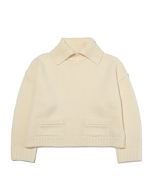 F/CE.  | F/CE. REVERSE PATTERN COLLAR KNIT / エフシーイー  リバースパターンカラーニット(ニット/セーター)