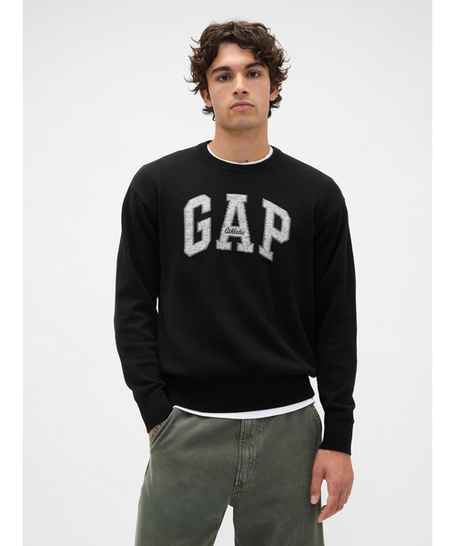 GAP(Mbv)̃bNXtBbg GAPS C^[VZ[^[(jbg/Z[^[)