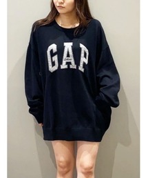 GAP(Mbv)̃bNXtBbg GAPS C^[VZ[^[(jbg/Z[^[)