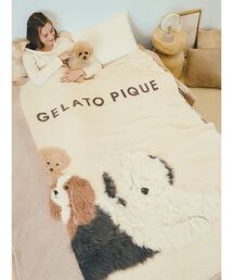 gelato pique Sleep(WF[gsPX[v)́ySleepzDOG3 WK[h}`Jo[(Q)