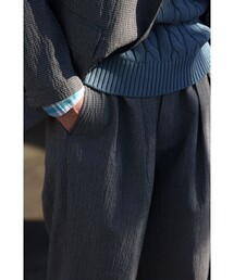 BEAMS PLUS | 2 Pleats Anywhere(wear) Seersucker Plaid(その他パンツ)