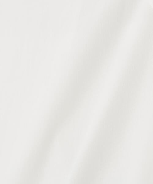 NATURAL BEAUTY BASIC(ナチュラルビューティーベーシック)の「レースドッキングシャツ(シャツ/ブラウス・レディース・ブルー/オフホワイト・フリ-)」の11枚目の写真
