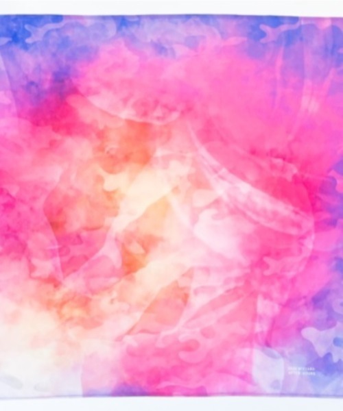 Wizzard（ウィザード）の「wizzard/ウィザード/SCARF（ストール/ショール・メンズ・レッド/ブルー/ナチュラル・FREE）」の3枚目の写真