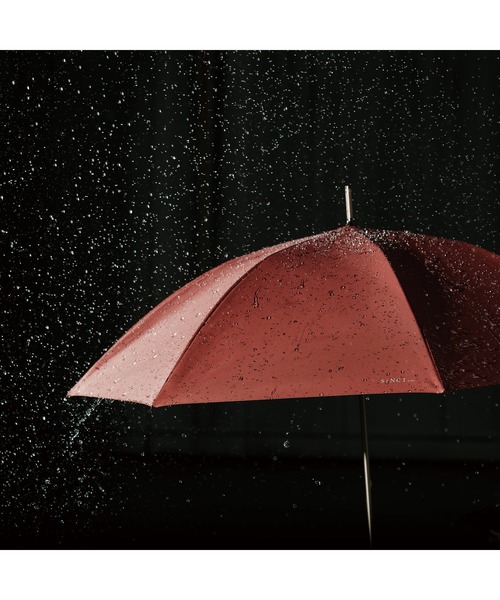 Wpc.（ダブリュピーシー）の「SiNCA LONG 60（長傘・メンズ・ネイビー/オフホワイト/サックスブルー/レッド/グリーン/ブラウン・FREE）」の8枚目の写真