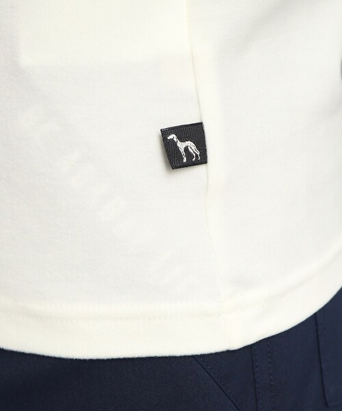 adabat(アダバット)の「◆メローフリル 長袖モックネックプルオーバー(Tシャツ/カットソー・レディース・ブルー/ホワイト/ライトグレー系9・38/36/40/42)」の15枚目の写真