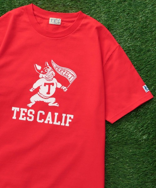 The Endless Summer(エンドレスサマー)の「TES COLLEGE FLOCKY T-SHIRT / Tシャツ(Tシャツ/カットソー・メンズ・アイボリー/ホワイト/ブラック/ネイビー/グレー/レッド・SMALL/MEDIUM/LARGE/X-LARGE/XX-LARGE)」の6枚目の写真